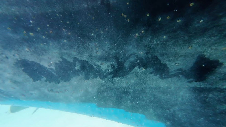 Underwater view of a ship’s hull with algae and barnacles.
