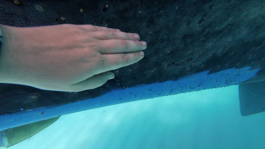 Underwater view of a ship’s hull painted with Petit Trinidad Pro antifouling with algae and barnacles.