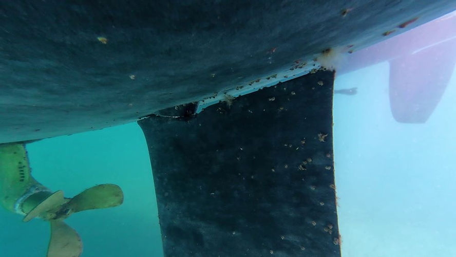Underwater view of a ship’s hull painted with Petit Trinidad Pro antifouling with algae and barnacles.