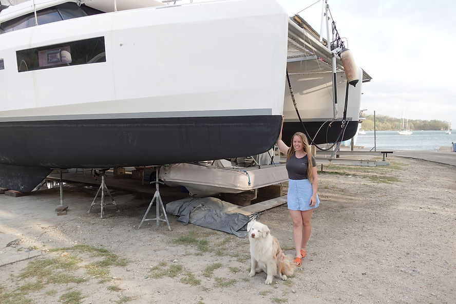 Bringing a dog to Trinidad