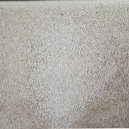 Dirty marine couch