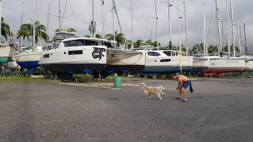 Man playing with dog in a boatyard. Several yachts on stands in the background. 