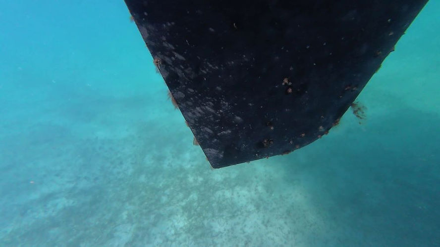 Underwater view of a ship’s rudder painted with Petit Trinidad Pro antifouling with algae and barnacles.