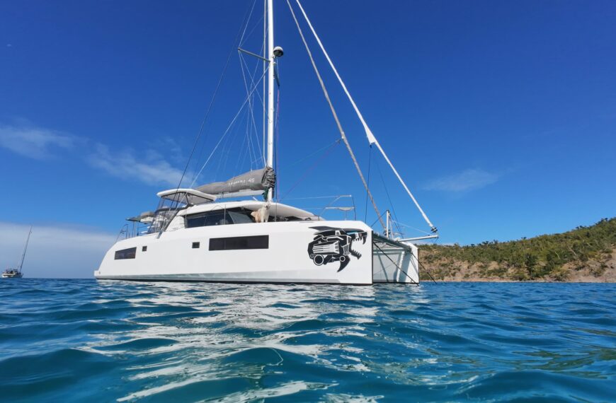 How to Enter New Countries, Sailing with a Dog