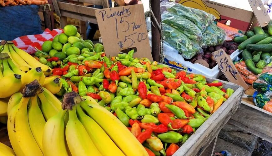 How to Store Fresh Produce on a Boat for Weeks