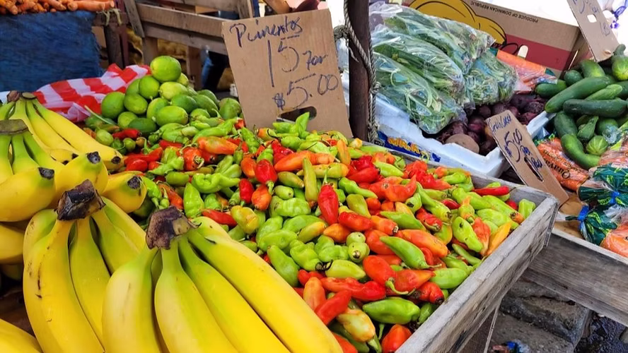 How to Store Fresh Produce on a Boat for Weeks